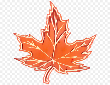 Maple Leaf, Leaf, Maple PNG Maple Leaf, Leaf, Maple PNG