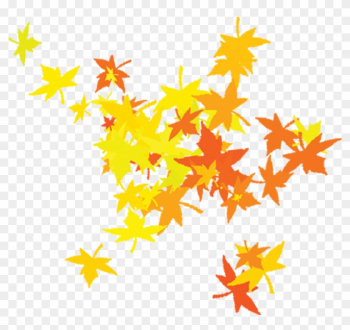 Maple Leaf - Leaves - Leaf Maple Leaf - Leaves - Leaf