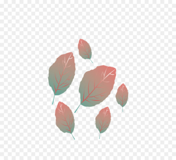 Maple leaf - Maple Leaf Maple leaf - Maple Leaf