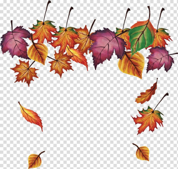 Maple leaf, Maple leaves falling transparent background PNG clipart