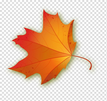 Maple leaf, Orange concise maple leaves transparent background PNG clipart