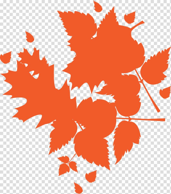 Maple leaf , Orange simple maple leaves transparent background PNG clipart