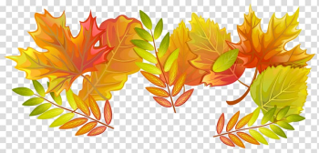 Maple leaf Paper Autumn, fall transparent background PNG clipart