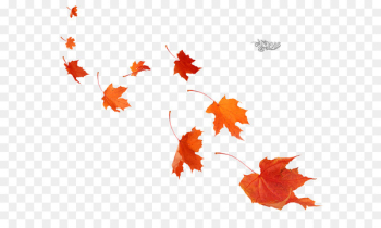 Maple leaf Poster Autumn Mural - Leaf Maple leaf Poster Autumn Mural - Leaf