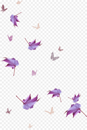 Maple leaf Purple - Maple Leaf Maple leaf Purple - Maple Leaf