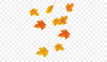 Maple leaf Red maple Icon - Maple Leaf Maple leaf Red maple Icon - Maple Leaf