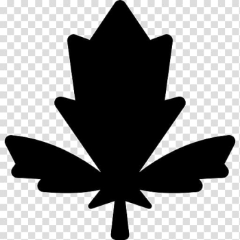 Maple leaf Symbol Computer Icons, Leaf transparent background PNG clipart