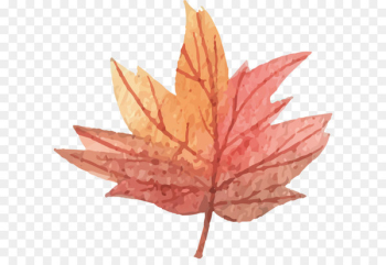 Maple leaf - Vector maple leaf Maple leaf - Vector maple leaf