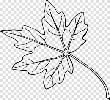 Maple leaf Yellow , Japanese Maple transparent background PNG clipart Maple leaf Yellow , Japanese Maple transparent background PNG clipart
