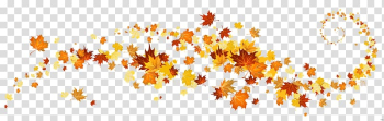 Maple leaves , Autumn leaf color , autumn leaves transparent background PNG clipart