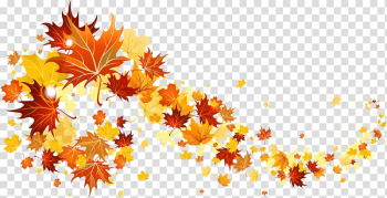 Maple leaves , Autumn leaf color , Falling Leaves transparent background PNG clipart