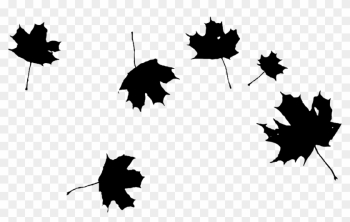 Maple Maple Leaf Leaf Leaves Png Image - Grape Leaf Clip Art