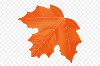 Maple, Maple Leaf, Leaf PNG Maple, Maple Leaf, Leaf PNG