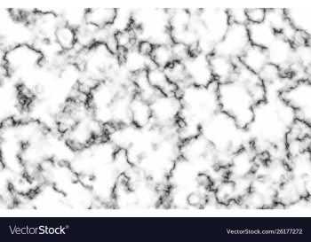 Marble white and gray marble texture vector image Marble white and gray marble texture vector image