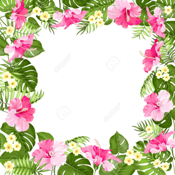 Marco De Flores Tropicales Con Lugar Para Texto De Vacaciones De ...