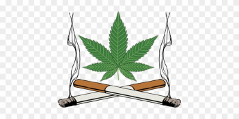 Marijuana Clipart Tobacco Leaf - Marijuana Leaf