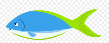 Marine biology Fish Cartoon Clip art - Cartoon fish Marine biology Fish Cartoon Clip art - Cartoon fish