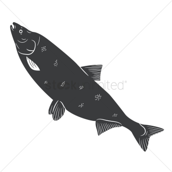 Marine fish Marine fish