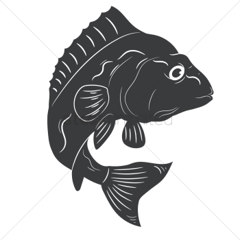 Marine fish Marine fish