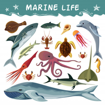 Marine inhabitants decorative icons set Free Vector Marine inhabitants decorative icons set Free Vector