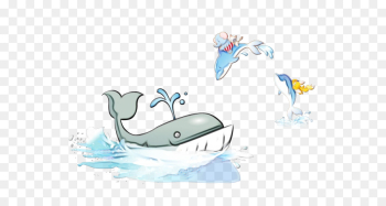 marine mammal cetacea water cartoon whale marine mammal cetacea water cartoon whale