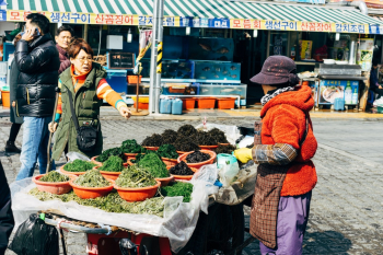 Market women selling at the Pusan fish market Market women selling at the Pusan fish market