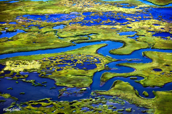 Marshlands | Free public domain photo - 434591 Marshlands | Free public domain photo - 434591