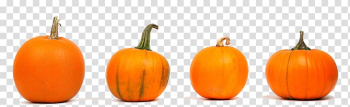 Mashed pumpkin Pumpkin pie Pumpkin Spice Latte Food, pumpkin transparent background PNG clipart