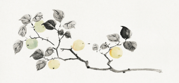 Matsumoto Kōzan's Sketchbook (1864). Original | Free Photo Illustration - rawpixel