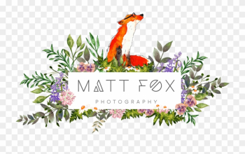 Matt Fox Photography - Matt Fox Photography Matt Fox Photography - Matt Fox Photography