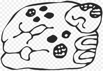Maya civilization Maya jaguar gods Mesoamerica Symbol - jaguar 