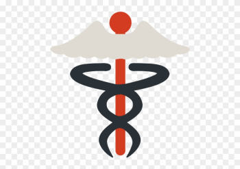 Medical Billing And Coding Icon