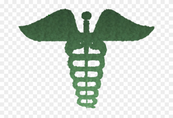 Medical Caducius Clipart Staff Of Hermes Caduceus As - Hospital Symbol