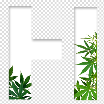 Medical cannabis Cannabis sativa Dispensary, cannabis transparent background PNG clipart