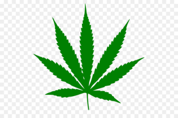 Medical cannabis Cannabis sativa Marijuana Hemp - cannabis leaves 