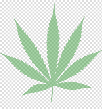 Medical cannabis Drawing , cannabis transparent background PNG clipart