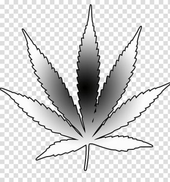 Medical cannabis Drawing Leaf, weed transparent background PNG clipart