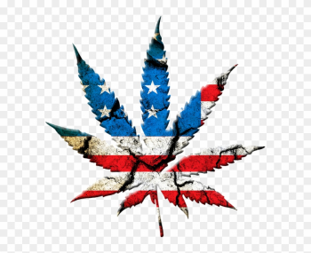 Medical Marijuana Inc - State Marijuana Legalization: Issues And Effects