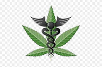Medical Marijuana Symbol Image - Medical Marijuana Logo