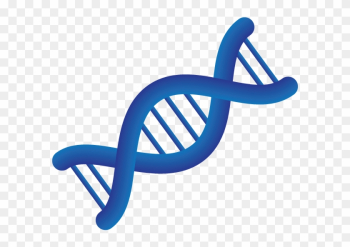 Medical Personalized Medicine Chromosome - Transparent Medical Medical Personalized Medicine Chromosome - Transparent Medical
