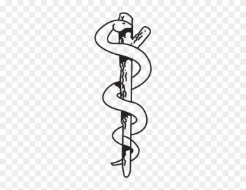 Medical Symbol With One Snake And Tree Branch - Medical Symbol With One Snake And Tree Branch