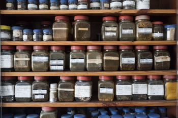 Medicinal herb samples in a shop. | Free Photo - rawpixel Medicinal herb samples in a shop. | Free Photo - rawpixel
