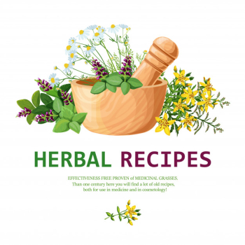 Medicinal herbs in mortar illustration Medicinal herbs in mortar illustration