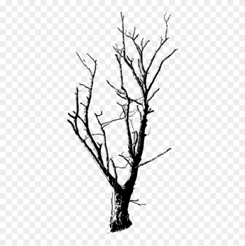 Medium Image - Dead Tree Black And White