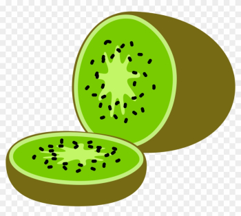 Medium Image - Kiwi Clipart