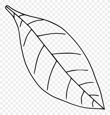 Medium Image - Leaf Clipart Black And White