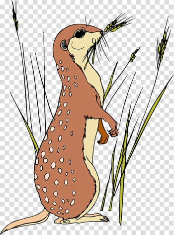 Meerkat Animation , Meerkat transparent background PNG clipart Meerkat Animation , Meerkat transparent background PNG clipart
