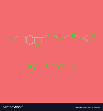 Melatonin hormone molecule in humans it plays a vector image Melatonin hormone molecule in humans it plays a vector image