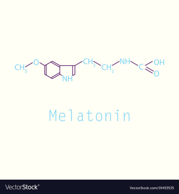 Melatonin hormone molecule in humans it plays a vector image Melatonin hormone molecule in humans it plays a vector image