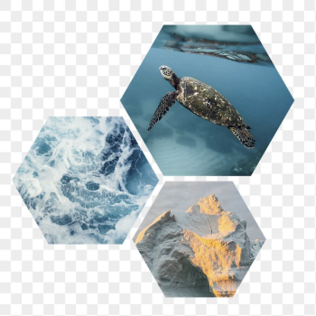 Melting ocean png badge sticker, | Free PNG - rawpixel Melting ocean png badge sticker, | Free PNG - rawpixel